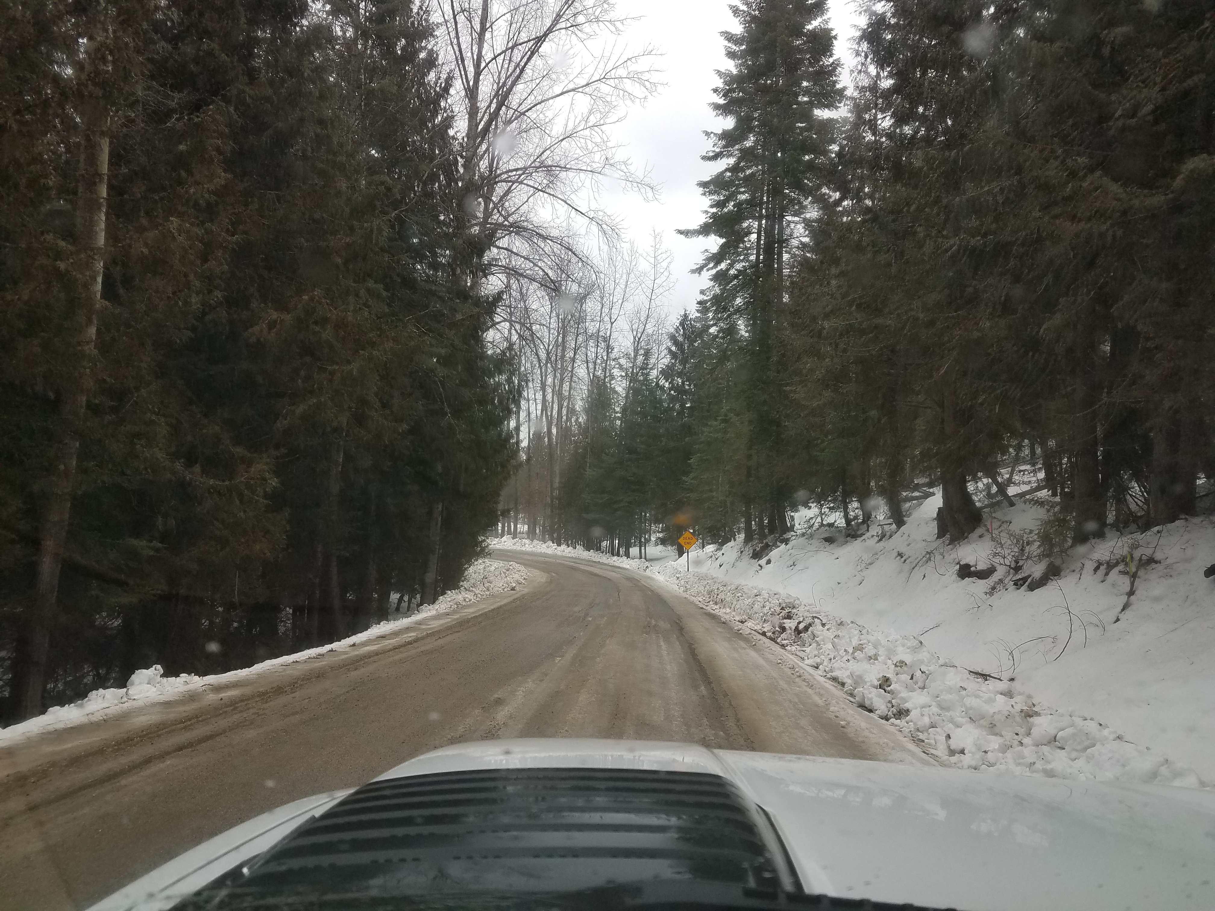 20180308_140750.jpg
